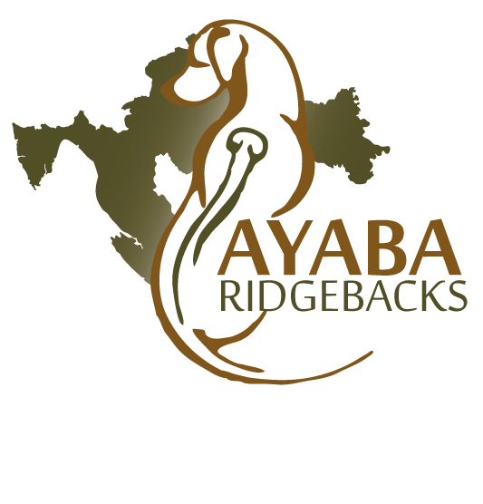 Ayaba